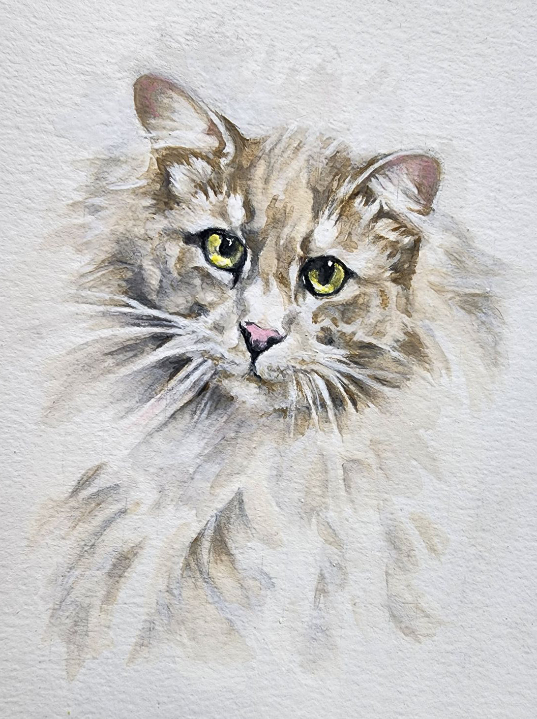 "Asher the Cat" - Fine Art Prints