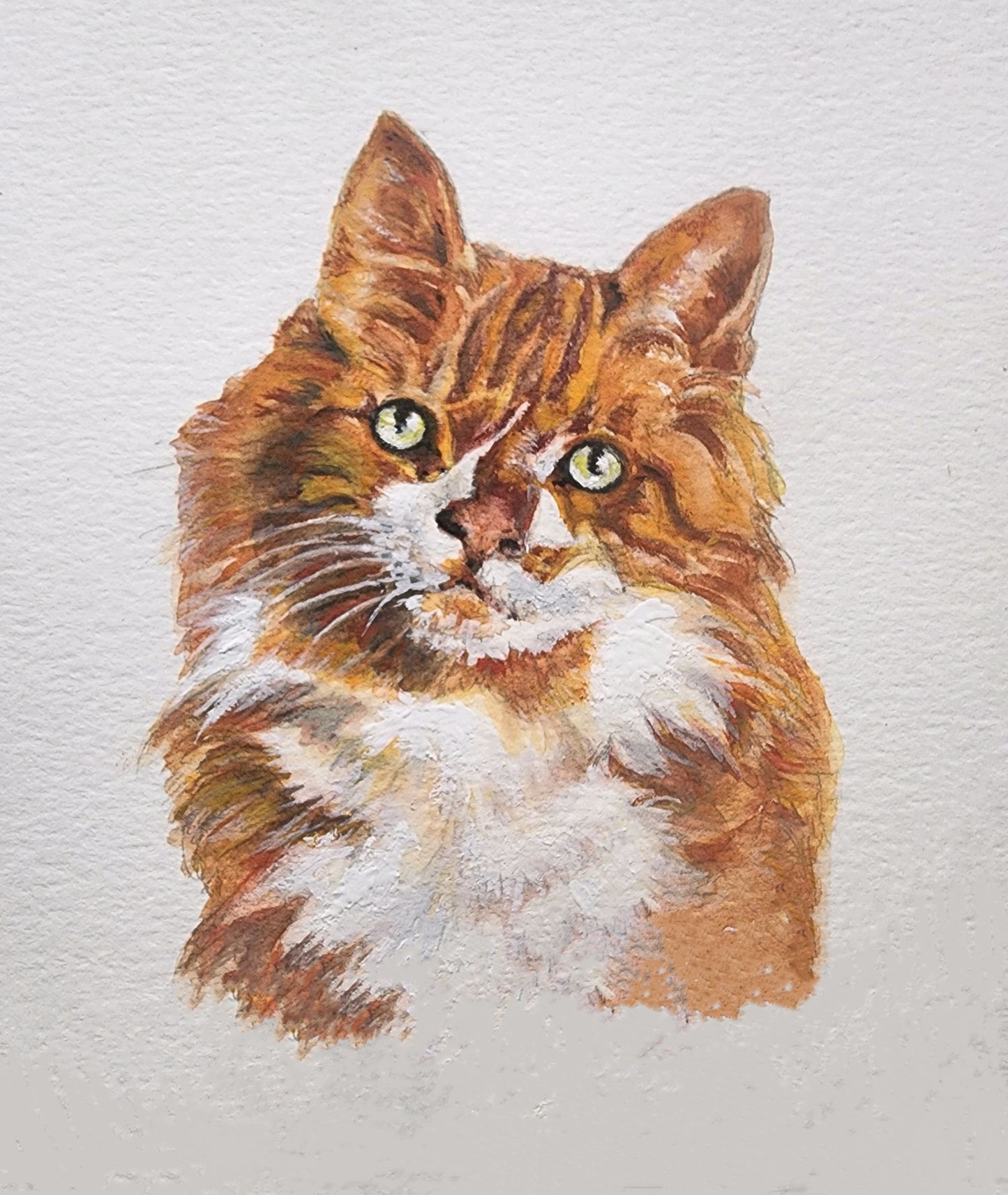 "Carson the Cat" - Fine Art Prints