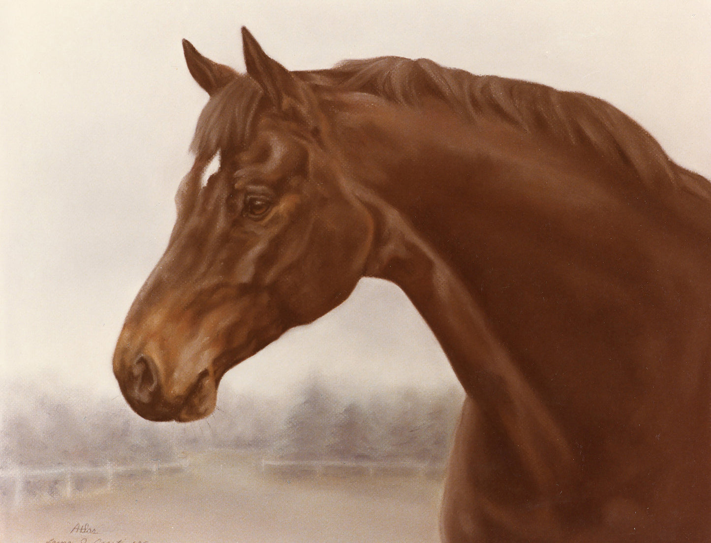 Atlas the Hanoverian - Fine Art Prints
