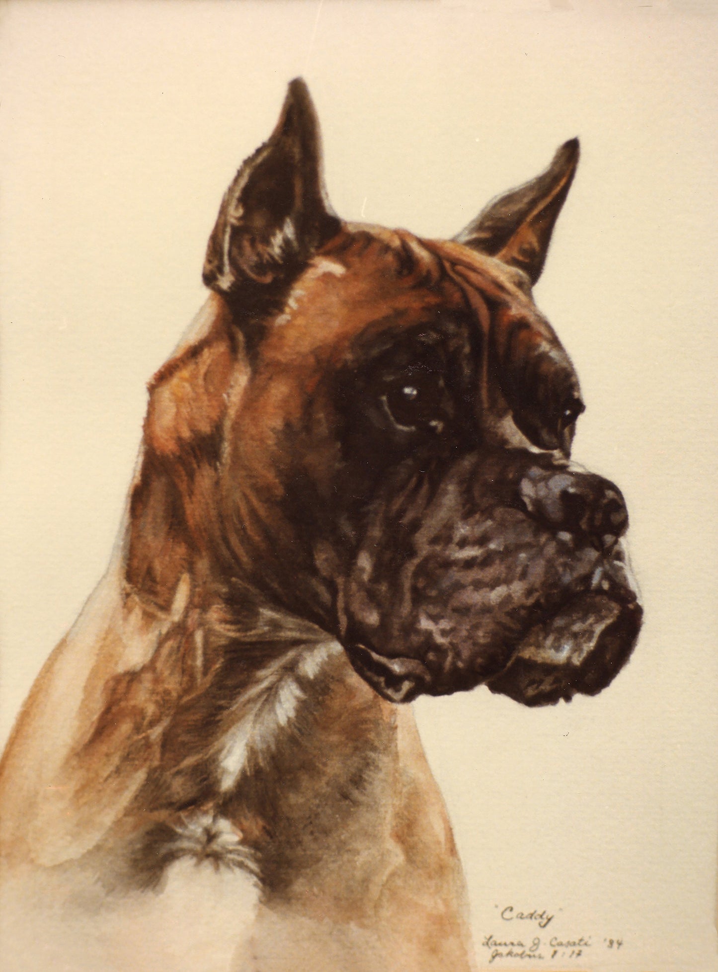 Caddy the Boxer - Fine Art Prints