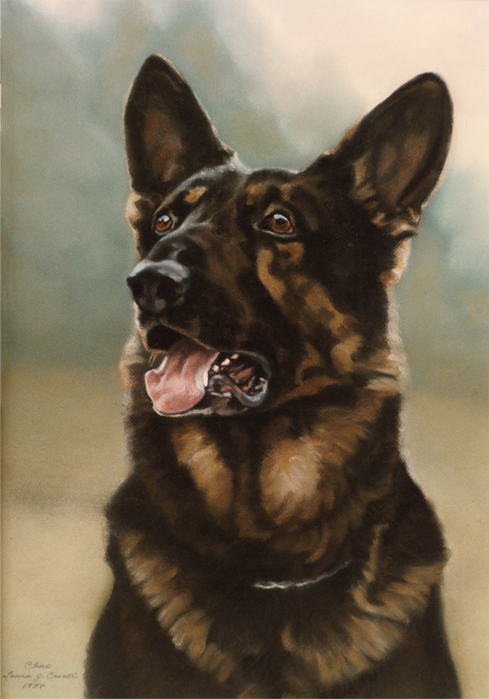 Chico the German Shepherd - Fine Art Prints