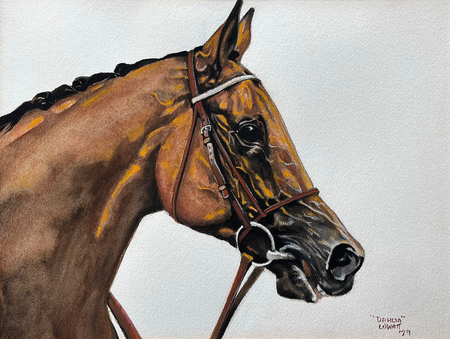 Dahlia the Thoroughbred - Fine Art Print