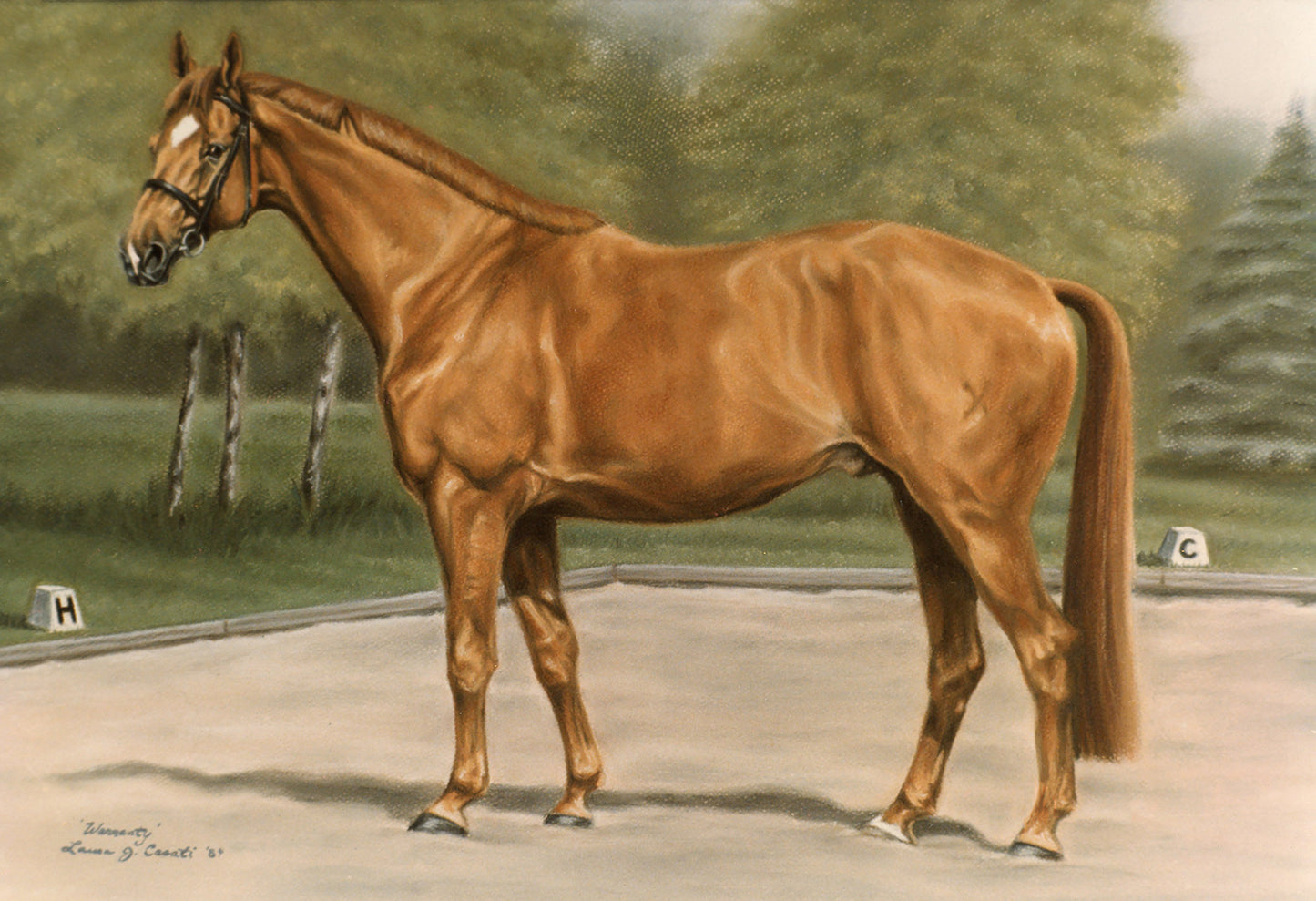 Warranty the Hanoverian - Fine Art Prints
