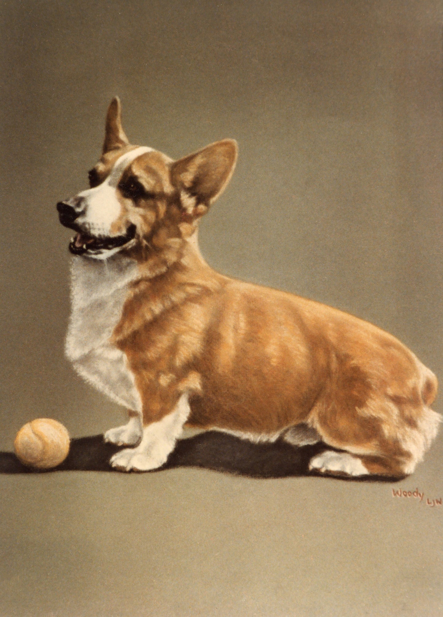 Woody the Corgi - Fine Art Prints