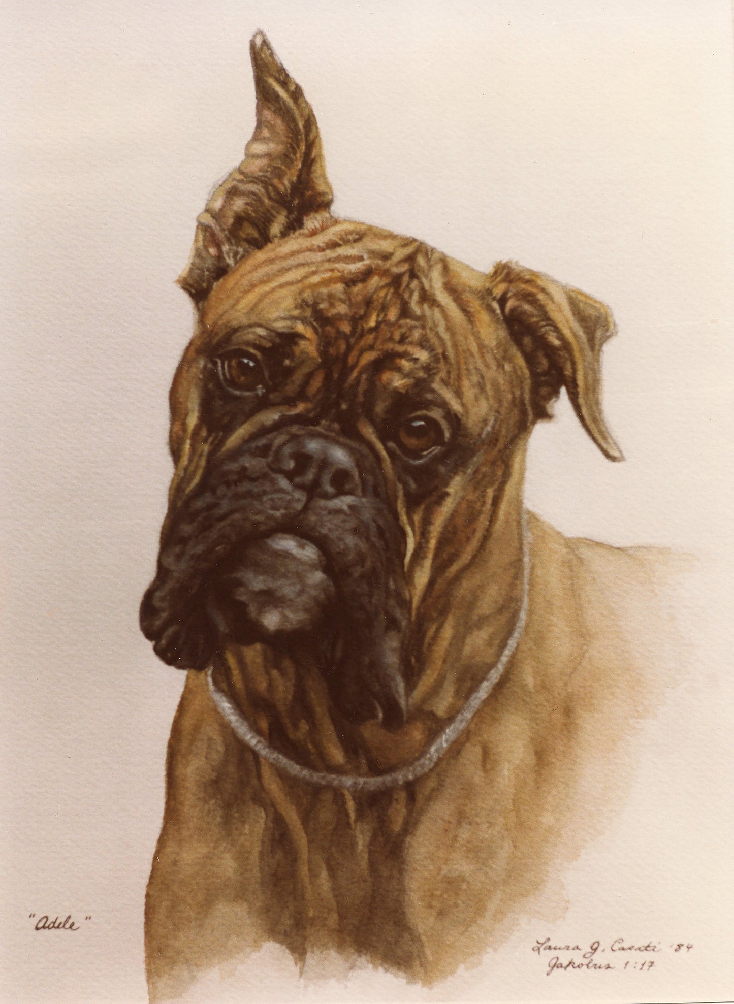 Adele the Boxer - Fine Art Prints