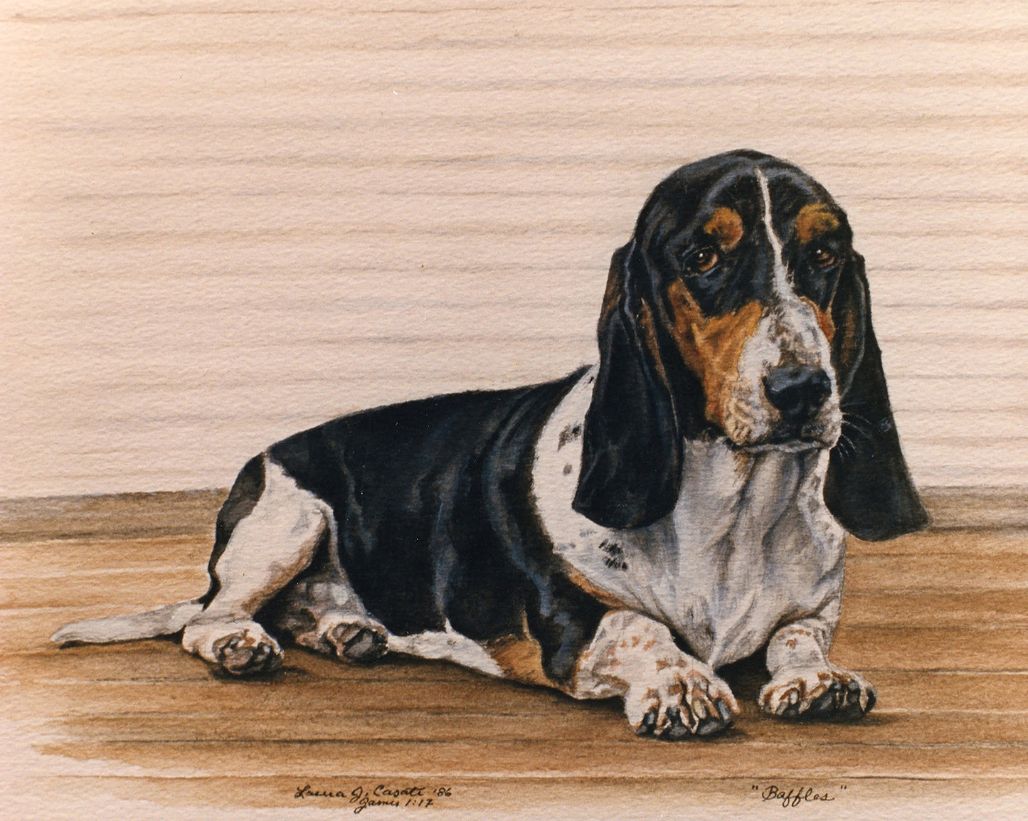 Baffles the Bassett - Fine Art Prints