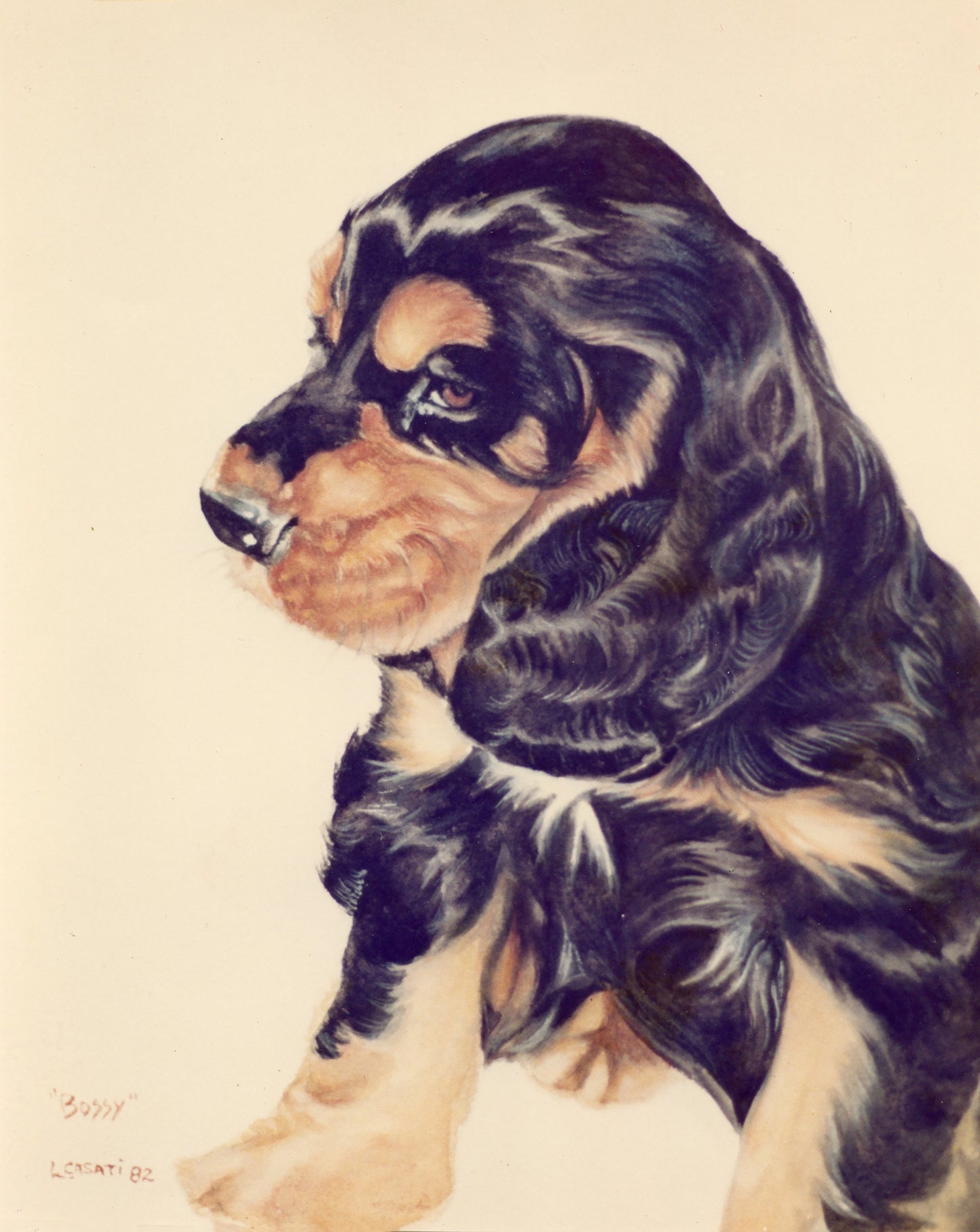 Bossy the Cocker Spaniel - Fine Art Prints