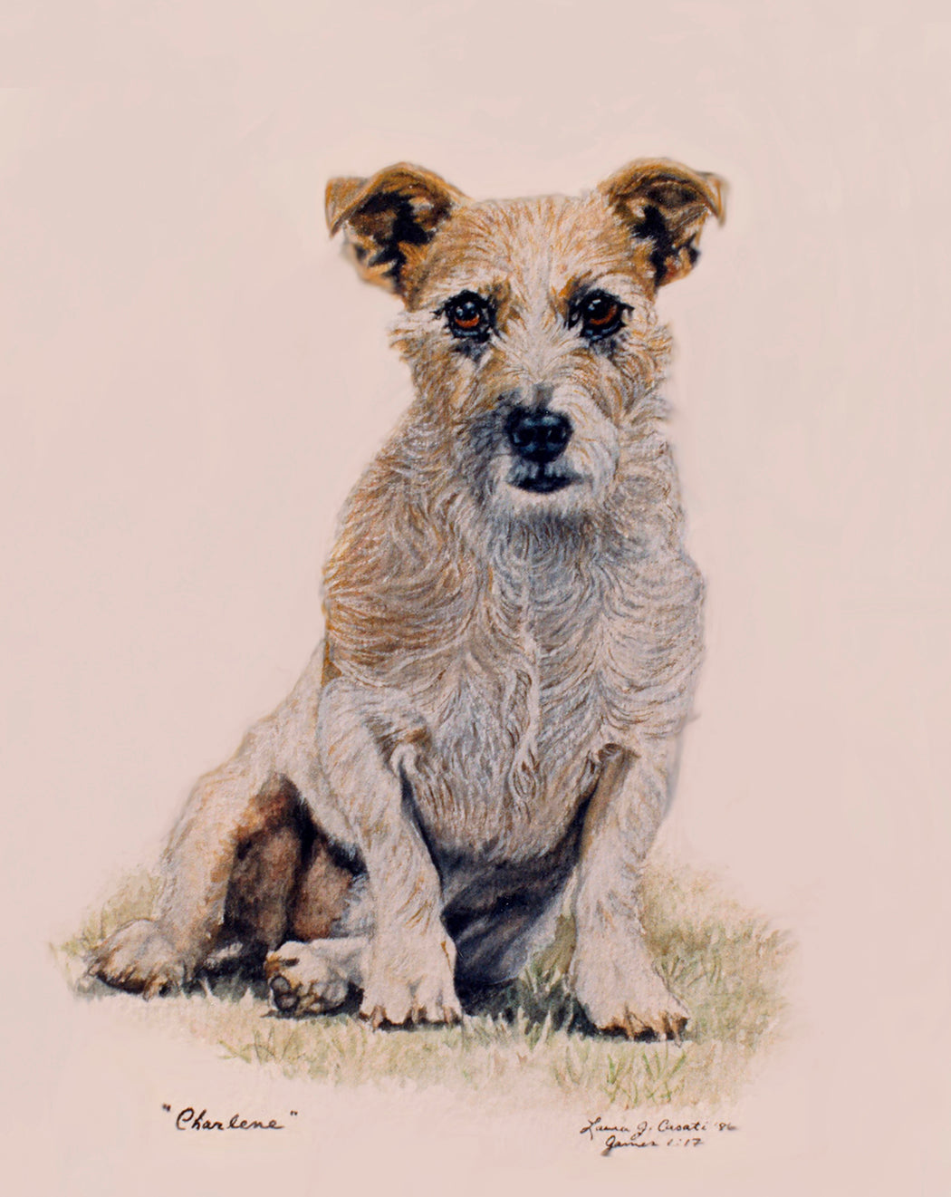 Charlene the Jack Russell - Fine Art Prints