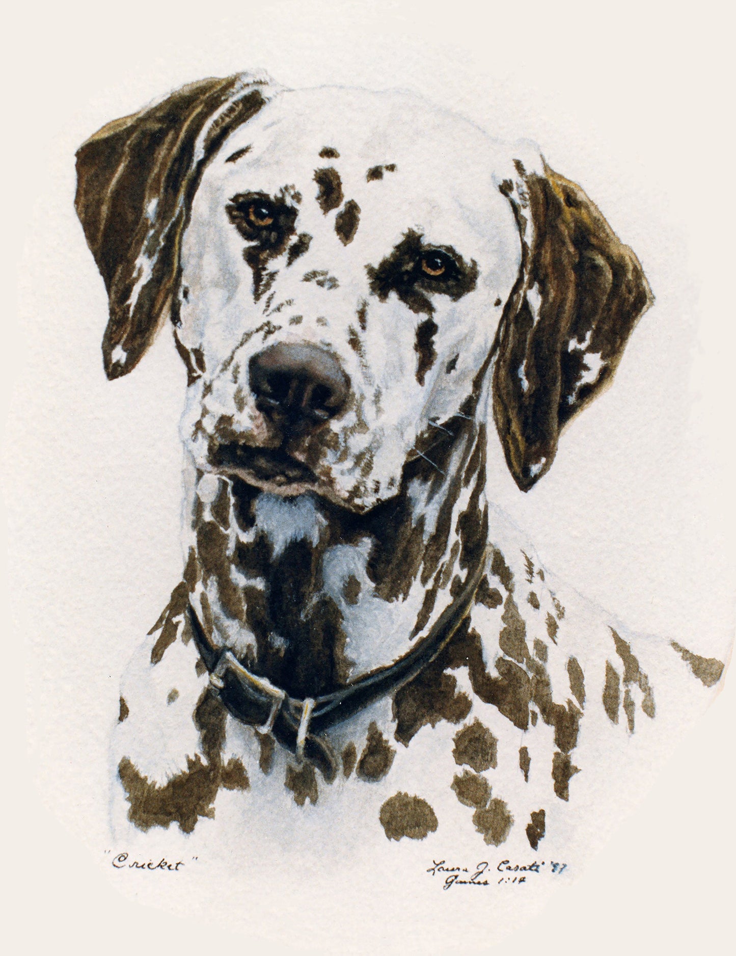 Cricket the Dalmatian - Fine Art Prints