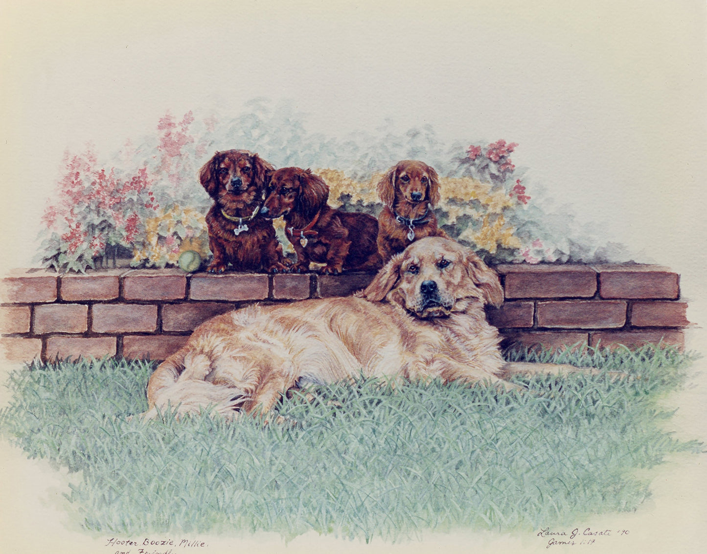Three Dachshunds and A Golden Retriever - Fine Art Prints