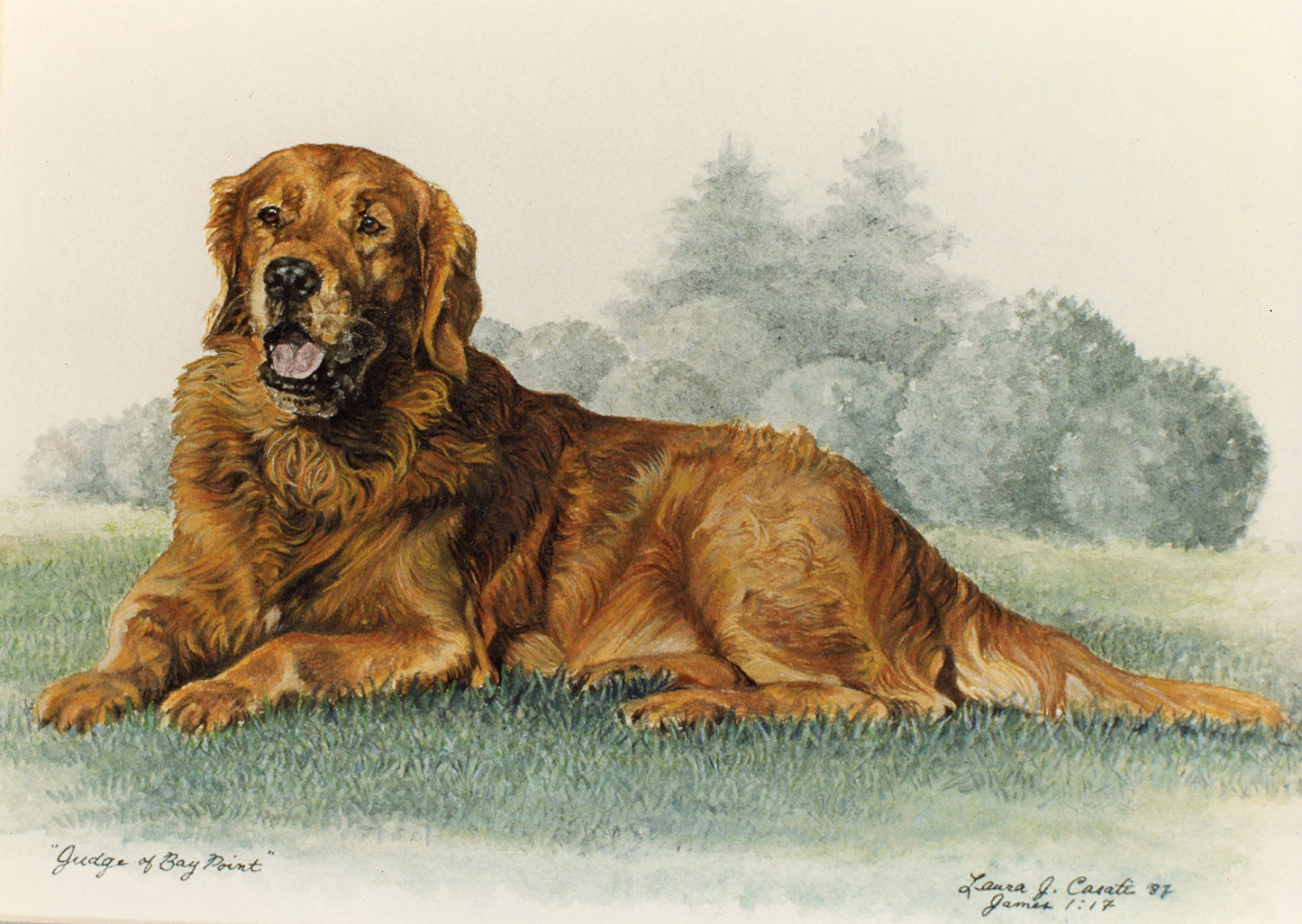 Judge of Bay Point - Fine Art Prints