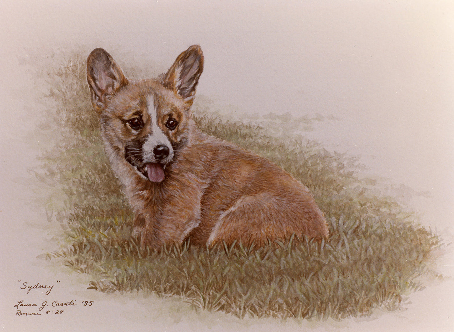 Sydney the Corgi - Fine Art Prints