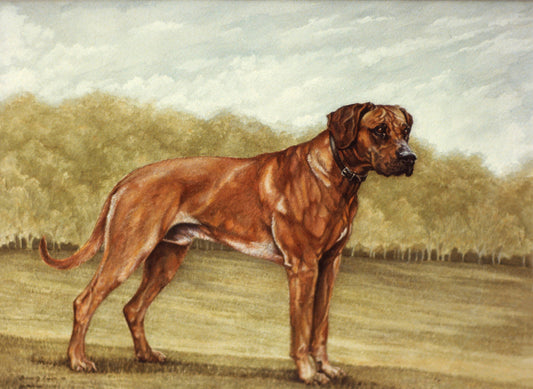 Rhodesian Ridgeback Art Base Rhodesian Ridgebacks – Laura Watt Casati